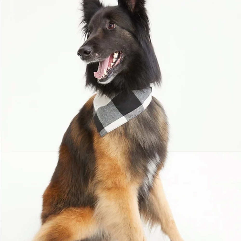 Patterned Flannel Bandana for Pets - Picture 1 of 6